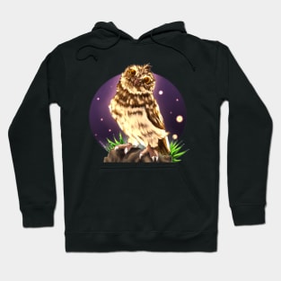 The Owl of Minerva Hoodie